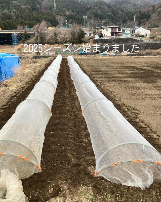 ルッコラ、葉大根、ミニ青梗菜、小松菜、ベビーリーフなどの葉物の種まき始まりました〜

収穫はベビーリーフから…4/20前後の予定です！
今シーズンもどうぞよろしくお願いします。

#山梨 #西桂町 #富士山の麓 #野菜 #赤ちゃんも元気になれる野菜 #無農薬栽培 #無農薬野菜 #観光 #収穫体験 #野菜でhappyをお届け #宅配 #わっぱファーム